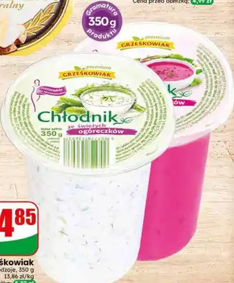 Dino Chłodnik Grześkowiak oferta