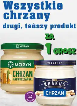 Dino Wszystkie chrzany oferta