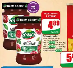 Dino Dżem Łowicz oferta