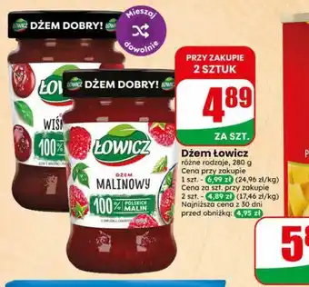 Dino Dżem Łowicz oferta