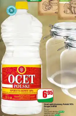 Dino Ocet spirytusowy Polski 10% Grupa AWW oferta