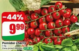 Dino Pomidor cherry oferta