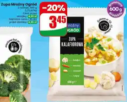 Dino Zupa Mroźny Ogród oferta