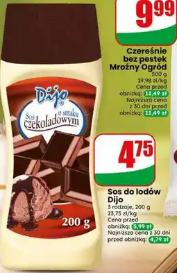 Dino Dijo Sos do lodów oferta