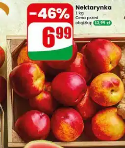 Dino Nektarynka oferta