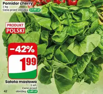 Dino Sałata masłowa oferta