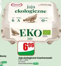Dino Jaja ekologiczne Czachorowski oferta