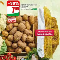 Dino Ziemniaki wczesne oferta