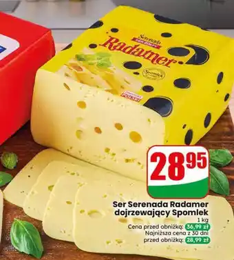 Dino Ser Serenada Radamer dojrzewający Spomlek oferta