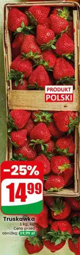 Dino Truskawka oferta