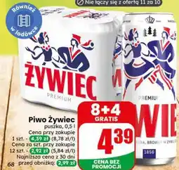 Dino Piwo Żywiec oferta