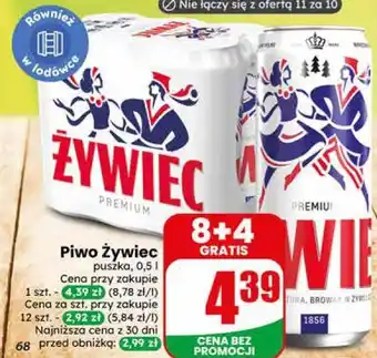 Dino Piwo Żywiec oferta