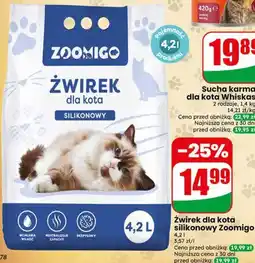 Dino Żwirek dla kota silikonowy Zoomigo oferta