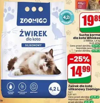 Dino Żwirek dla kota silikonowy Zoomigo oferta