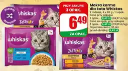 Dino Mokra karma dla kota Whiskas oferta