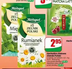 Dino Herbatka ziołowa Zielnik Polski oferta
