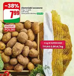 Dino Ziemniaki wczesne polskie oferta