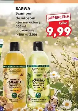 Kaufland Szampon do włosów Jajeczny Barwa Naturalna oferta