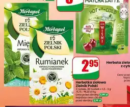 Dino Herbatka ziołowa Zielnik Polski Mięta Herbapol oferta