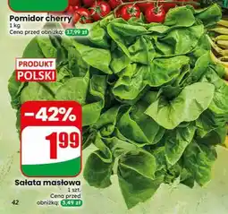 Dino Sałata masłowa polska oferta