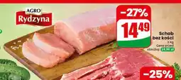 Dino Schab bez kości Agro Rydzyna oferta