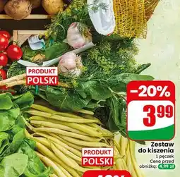 Dino Zestaw do kiszenia polski oferta