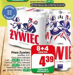Dino Piwo Żywiec Premium oferta