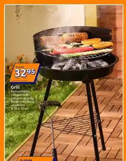 Action Grill oferta