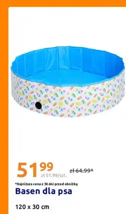 Action Basen dla psa oferta