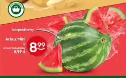 Żabka Arbuz Mini bezpestkowy oferta