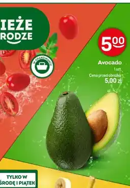 Żabka Avocado oferta