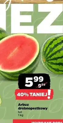 Netto Arbuz drobnopestkowy oferta