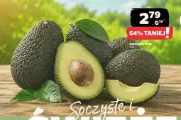 Netto Awokado Hass oferta