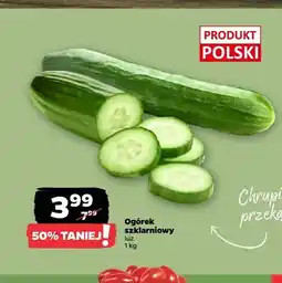 Netto Ogórek szklarniowy polski oferta