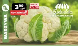 Netto Kalafior polski oferta