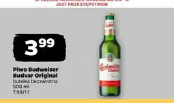 Netto Piwo Budweiser Budvar Original oferta