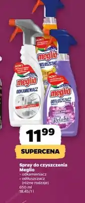 Netto Spray do czyszczenia odkamieniacz Meglio oferta