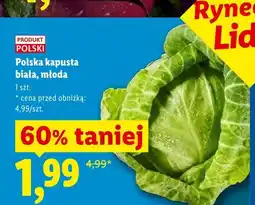 Lidl Kapusta biała młoda polska oferta