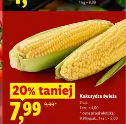 Lidl Kukurydza świeża 2-pak oferta