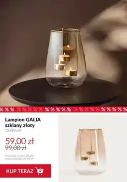Homla Lampion szklany złoty Galia 15x20 cm oferta