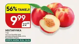 Chata Polska Nektarynka Hiszpania oferta