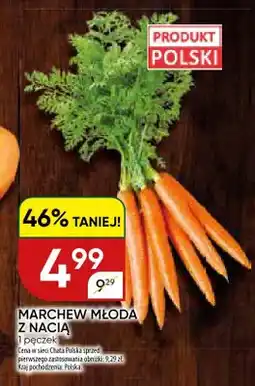 Chata Polska Marchew młoda z nacią polska oferta