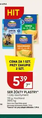Chata Polska Ser żółty plastry Hochland oferta
