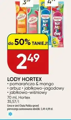 Chata Polska Lody pomarańcza & mango Hortex oferta