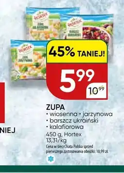 Chata Polska Zupa wiosenna Hortex oferta