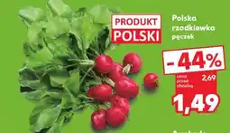 Kaufland Polska rzodkiewka pęczek oferta
