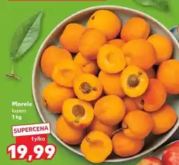 Kaufland Morele luzem 1 kg oferta