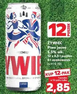 Kaufland Żywiec oferta
