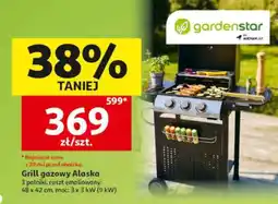 Auchan Grill gazowy Alaska oferta
