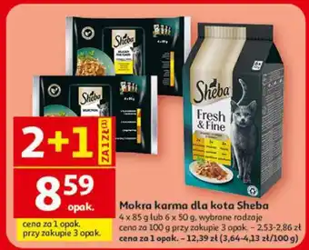 Auchan Sheba oferta